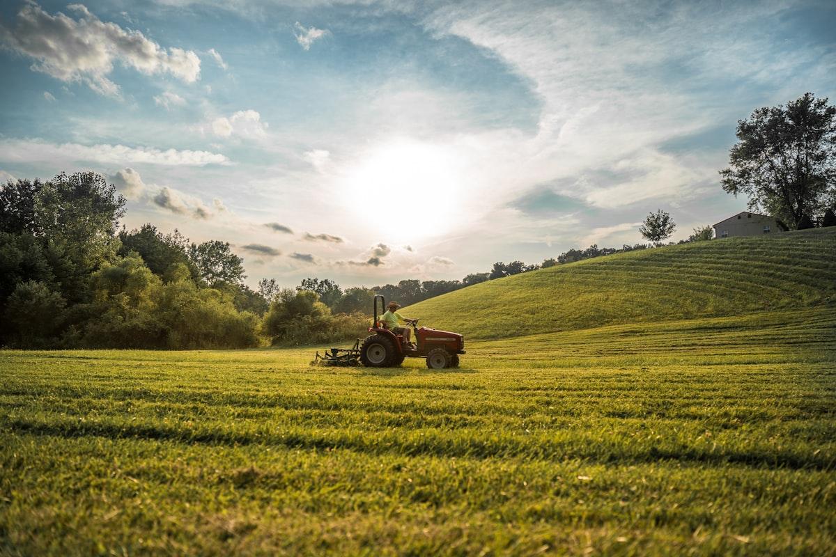 Farmer inspecting crops in modern field