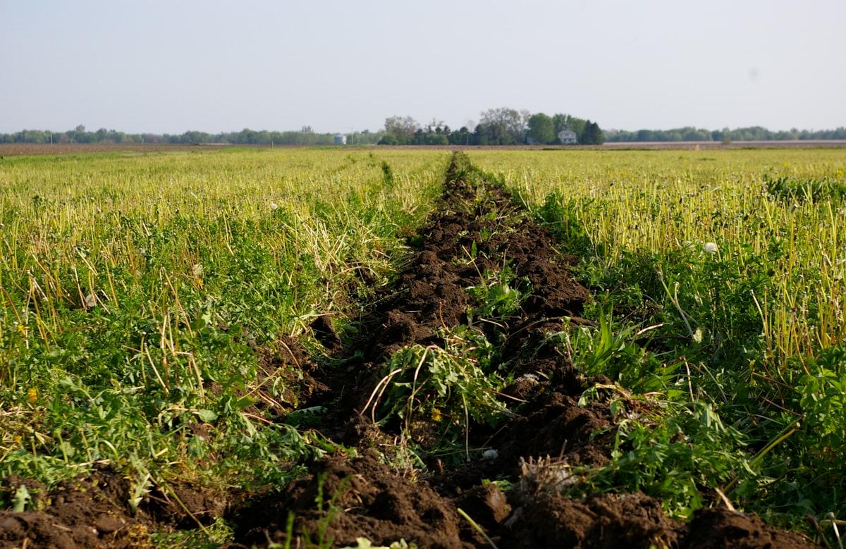 Humic Acid